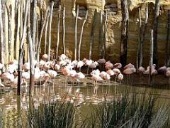 149 BIO PARC DE DOUE LA FONTAINE 4- 2016_000049